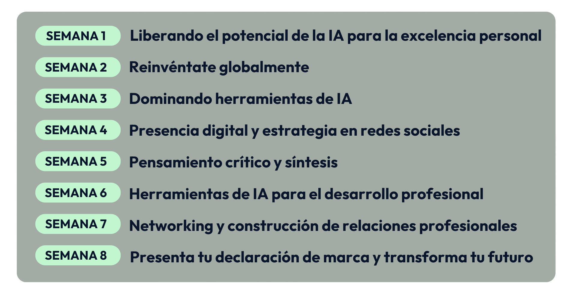TYF SPANISH SEMANAS